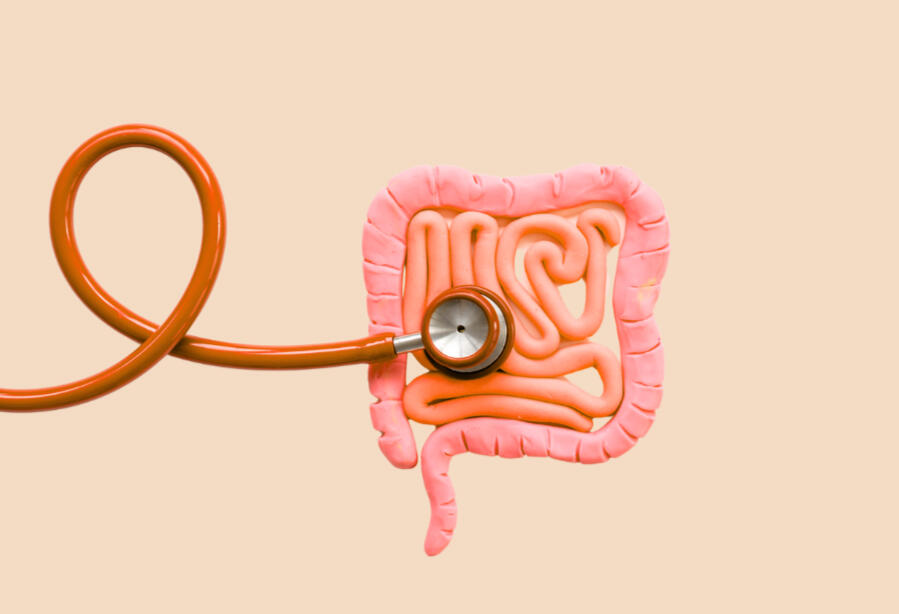 gut health